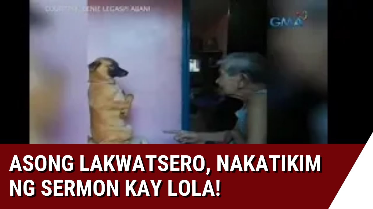 24 Oras Asong lakwatsero nakatikim ng sermon kay lola