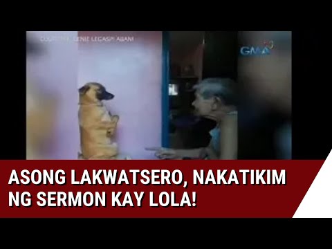 24-oras:-asong-lakwatsero,-nakatikim-ng-sermon-kay-lola