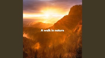 Background for Supportive Pleasures