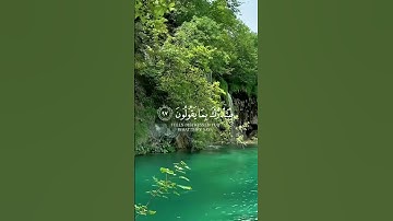 اكتب شيء تؤجر عليه ♥️ القارئ طارق محمد 🤍🎧
