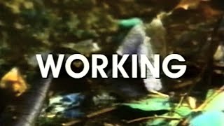 Classic TV Theme: Working (1997)