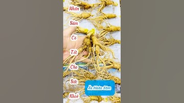 Nhân Sâm Dùng Ăn Có Tốt Không #nhansamnuitruongbach #suckhoe #bổthậntrángdương