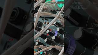 Turning storm data into IDM 🌩️ Each lightning bolt is a sample ⚡️#idm #modularsynth #synth
