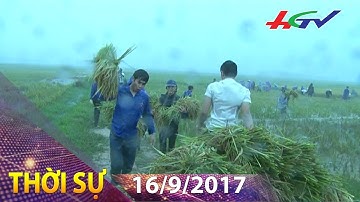 Tình người lớn hơn bão dữ | THỜI SỰ HẬU GIANG - 16/9/2017