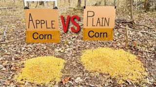 Trail Camera: Apple Flavor Corn vs. Plain Corn. What do Deer Like Better