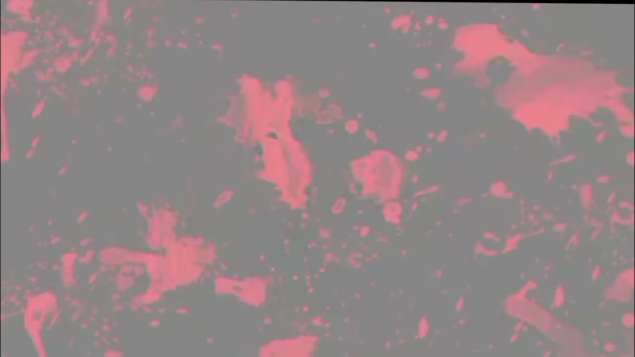 Fpe react to no hope...