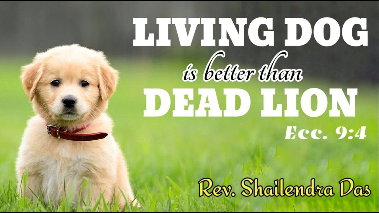 LIVING  DOG is  better than DEAD LION || By Rev. Shailendra Das||