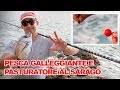 PESCA GALLEGGIANTE E PASTURATORE AL SARAGO