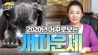 (서울용한점집) 2020년 개띠운세!! 아주 소상하게 알려드립니다!! 개띠 화이팅~!! [점점tv]