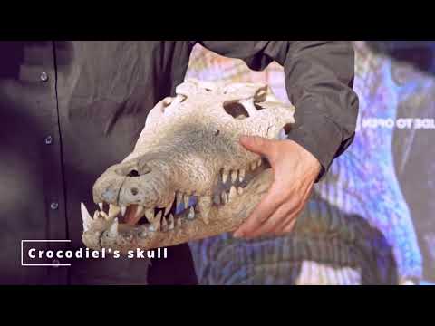 Malawi گەشتی وڵاتی مالاوی Travel Travelvlog Baghdad Iraq Kurdistan Slemani Sulaimani