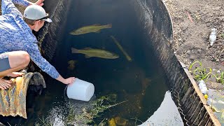 STOCKING My Hidden Pond with HUNDREDS of Fish!