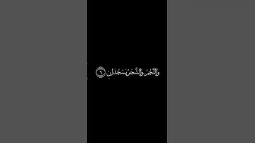 كرومات قران خلفية سوداء | أنس الميمان | سورة الرحمن