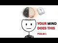 Why Your Mind Wanders (And What Psalm 1 Says to Do About It)
