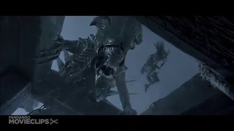 Multifandom MEP part 12