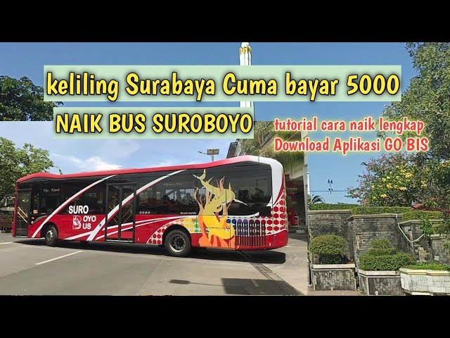 CARA NAIK BUS SUROBOYO TERBARU | BAYAR CUMA 5000 class=