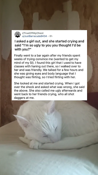 I Asked Her Out—She Cried and Called Me Ugly #memes #stories #funnycats