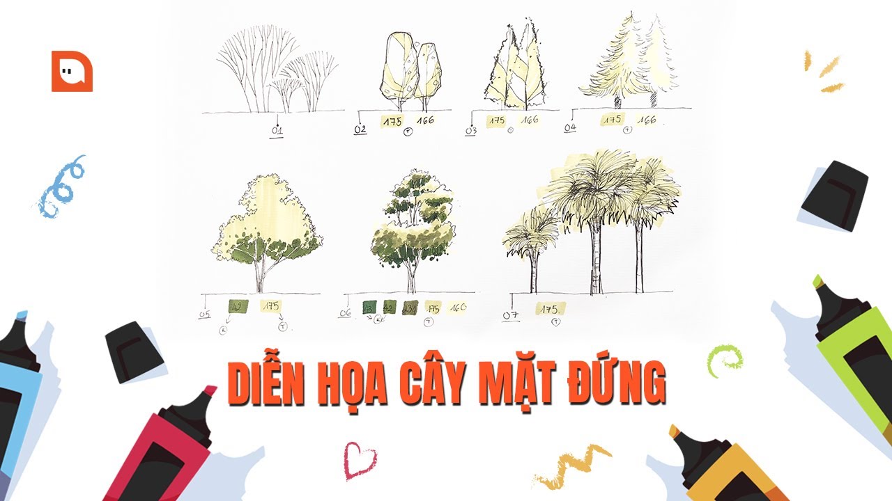 BẠN ĐÃ BIẾT diễn họa cây mặt đứng bằng màu marker chưa? | #10 Hành ...