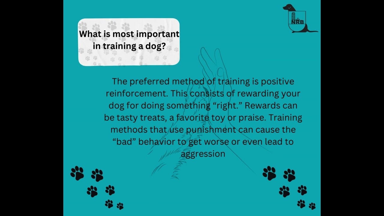 PAWSITIVE REINFORCEMENT