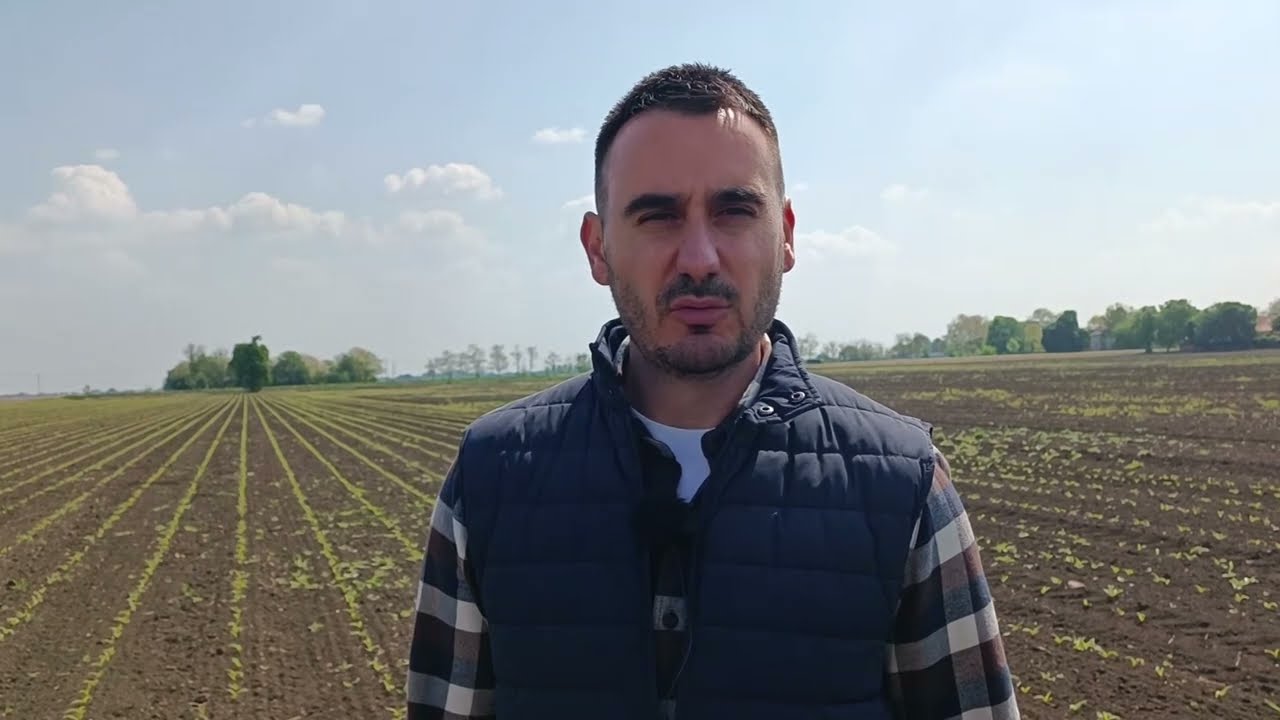 ZA CISTU NJIVU I DOBAR ROD LAUDIS BAYER