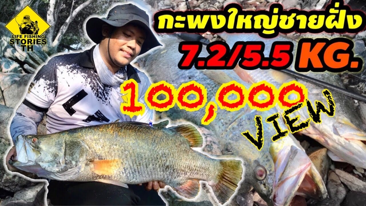 กะพงใหญ่!! ชายฝั่ง 7.2/5.5 Kg. +เทคนิค( Baramundi fishing)  [ LFST ตีเหยื่อปลอมชายฝั่ง 50]