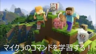 マイクラコマンド研究29