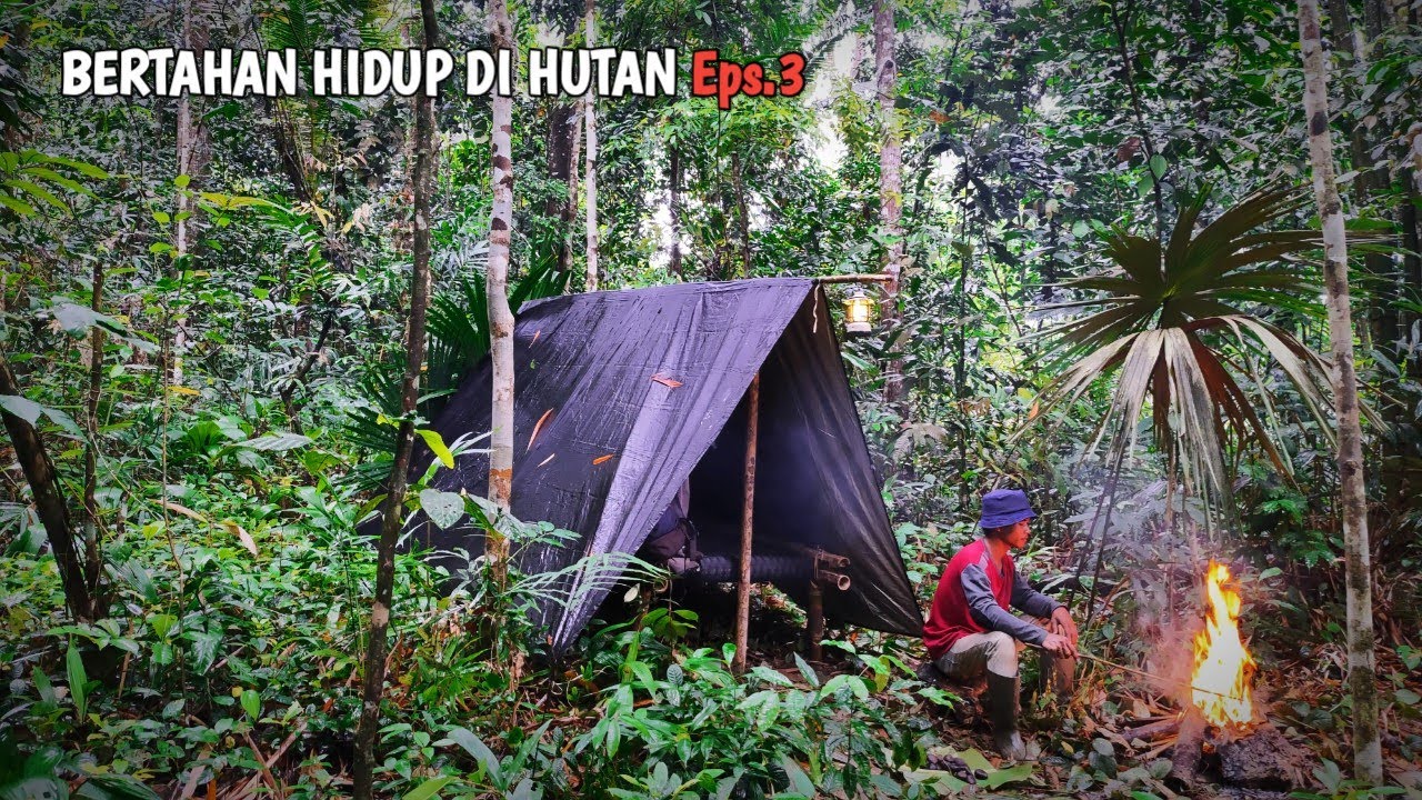 Bertahan hidup di hutan, memasak sayuran liar, mancing ikan dan membangun shelter | SURVIVAL EPS 3