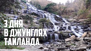 3 дня в джунглях Таиланда. Палатка под водопадом и плоская змея \ КРУГОСВЕТНОЕ ПУТЕШЕСТВИЕ