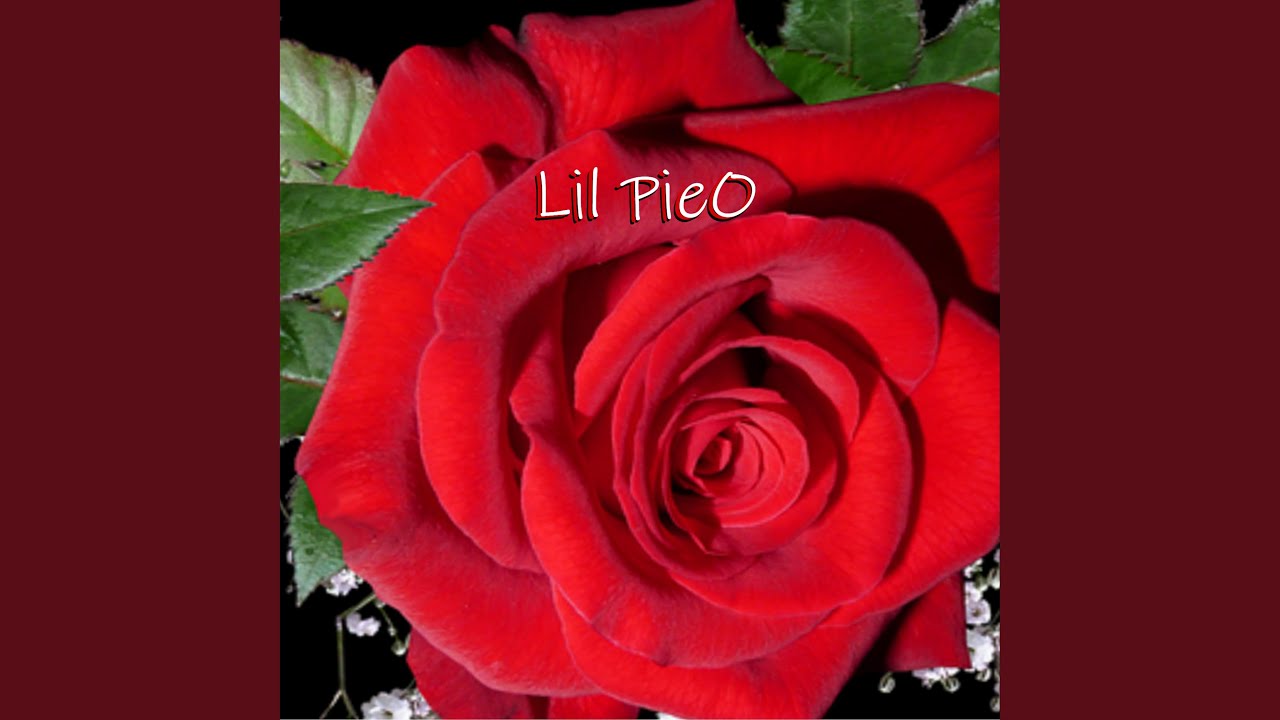 Roses Are Red YouTube Music