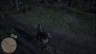 Red Dead Redemption 2          opening treasure maps