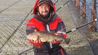 pier fishing for cod south shields and roker pier sea fishing uk