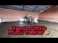 ÇİFTLİĞİ BOK GÖTÜRÜYOR. 🚜 MASSEY FERGUSON 266 İLE ÇİFTLİĞİMİZİ TEMİZLEDİK!