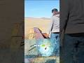 50 Cal Yellow Tip vs Bulletproof Glass