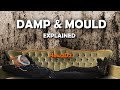 Black Mould Damp and Condensation Explained  How to get rid of Black Mold