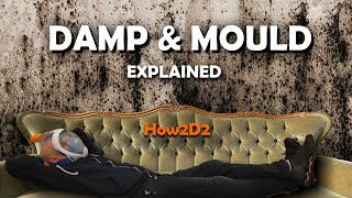 Black Mould Damp and Condensation Explained How to get rid of Black Mold