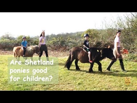 Video: Prendi i tuoi bambini coinvolti nella formazione dei tuoi animali domestici