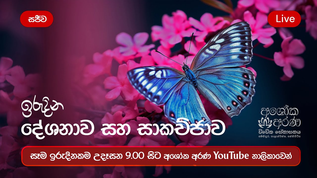 ධර්ම දේශනාව | 2025 අගෝස්තු 31 ඉරිදා | #බේරුවල_රාහුල #අශෝක_අරණ #අලුත්ම_බණ Thero අශෝක අරණ Ashoka Arana