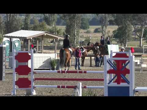 horseshoe bend NEE Premier Jumper 1 Classes 225 & 271 1.00M Jumpers & Low Child Adult Jumper 1 00M April 2019