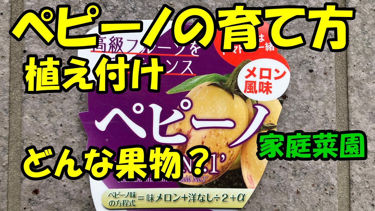 ペピーノ 育て 方