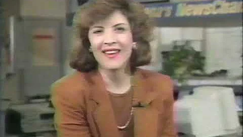 May 23, 1993 - Susan Parks Previews Indianapolis 1...