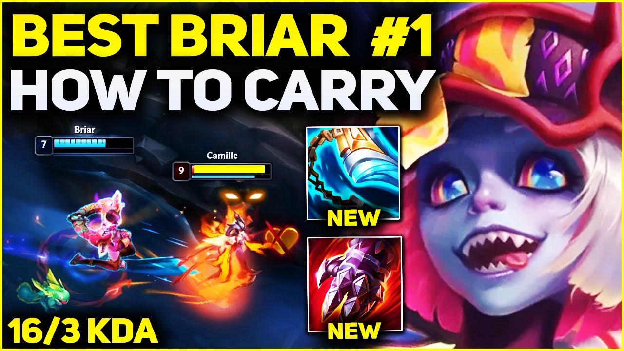 Briar Pro Builds - How to Play Briar in Season 13