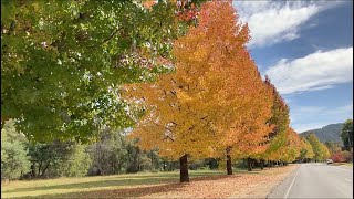 Bright, Victoria, Australia - Apr2022