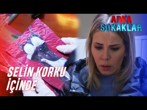 Bulunan Deliller Karşısında Selin'in Nutku Tutuldu | Arka Sokaklar 619. Bölüm @arkasokaklaryeni