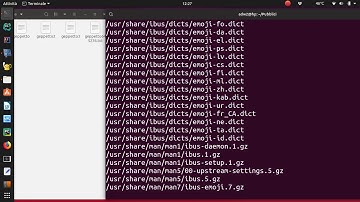 Linux find opzioni  atime  ctime  mtime e amin cmin ctime
