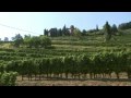 Franciacorta Wine - Italy