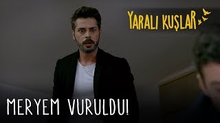 Meryem vuruldu! | Yaralı Kuşlar 134. Bölüm