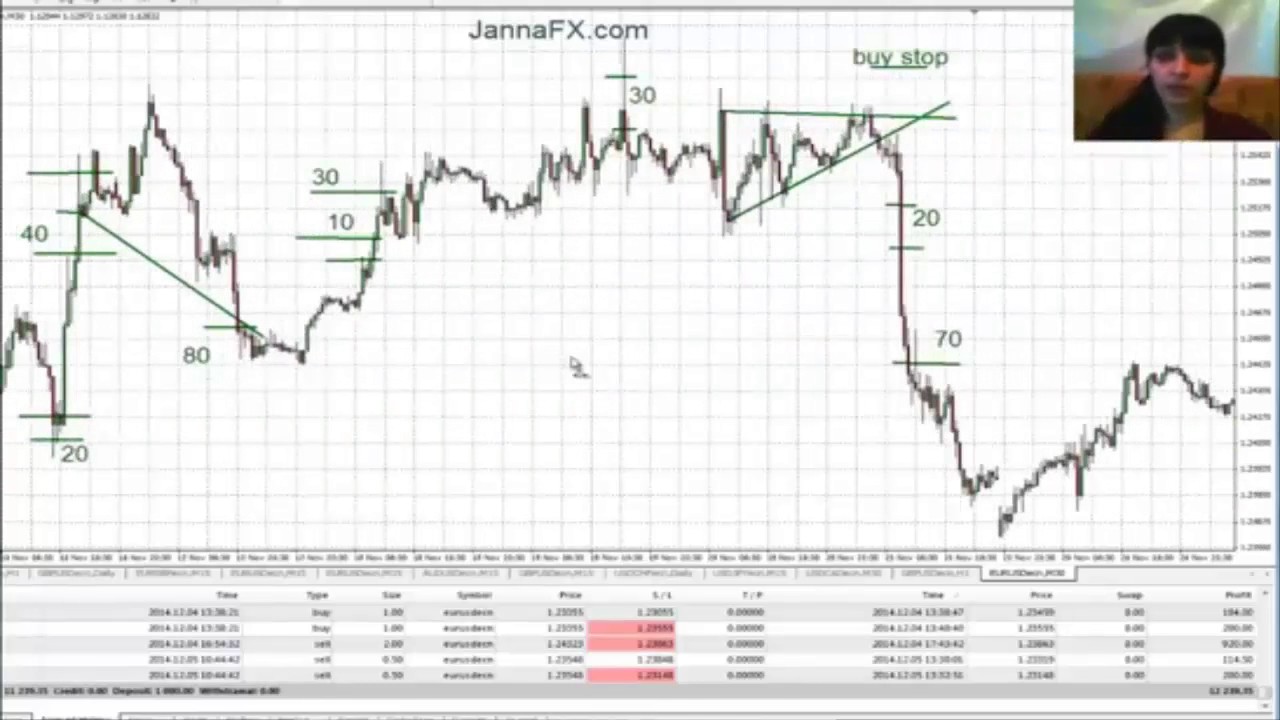 Forex Trading Strategies For Beginners Learn To Trade Forex With - 