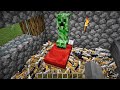 1000 cats vs creeper