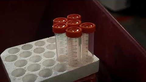 Composting Deactivation of CWD Prions