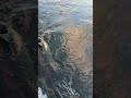 щука🐟