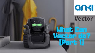 What Can Anki Vector Do [Part 1]